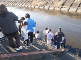 ホタル幼虫育成に於ける産卵・育成の効果検証