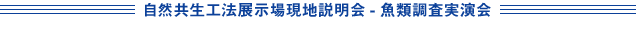 自然共生工法展示場現地説明会-魚類調査実演会